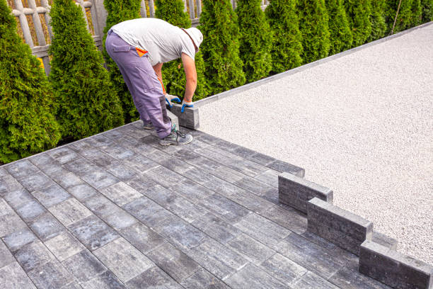 Best Local Driveway Pavers  in Louisa, KY